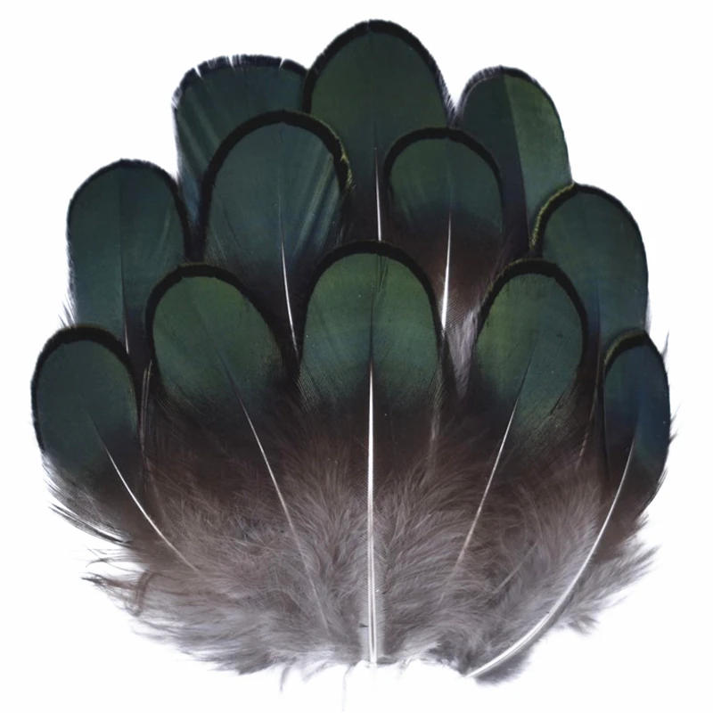 Description Picture 5 of itemWholesale Natural Peacock Pheasant Feathers Small Eagle Chicken Plumes Ostrich Decor DIY Handicraft Accessories Jewelry Creation