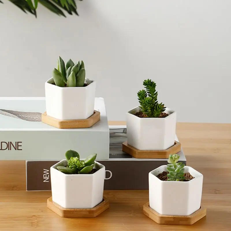 Description Picture 5 of itemGeometic White Ceramic Square Bonsai Planter Little Succulent Flower Pots Modern Small Cactus Flowerpot Bamboo Tray