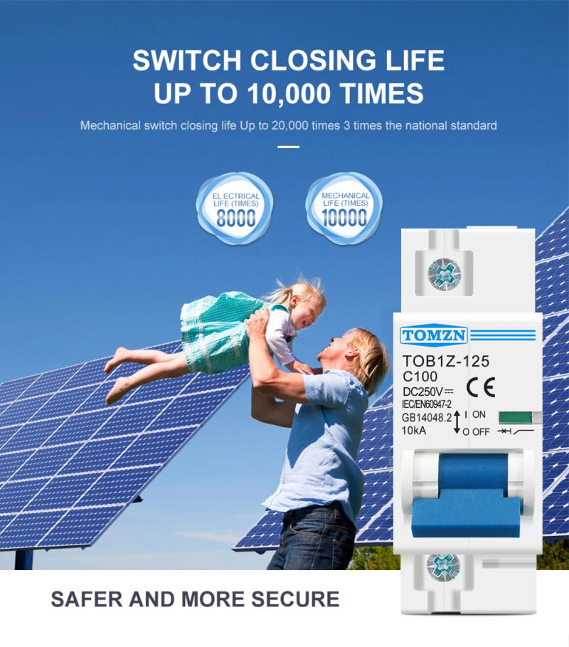 Description Picture 5 of item1P 80A 100A 125A DC MCB 250V Circuit breaker FOR PV System