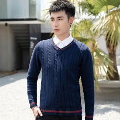 Autumn and Winter Sweater Men's Pullover Korean Version V-neck Casual Body Long Sleeves