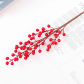 red fruit