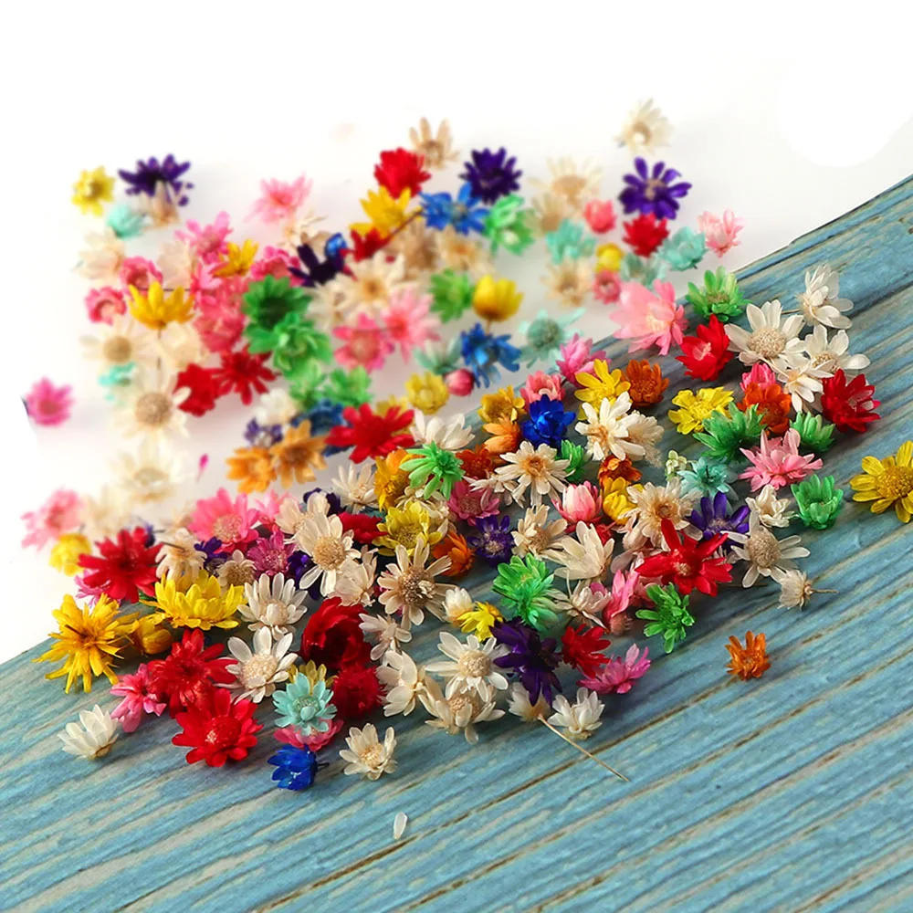 Description Picture 6 of item100/200pcs Artificial Flower for DIY Resin Candle Making, Jewelry Fill Art Craft, Home Decor Party Decoration Artwork Photo Prop