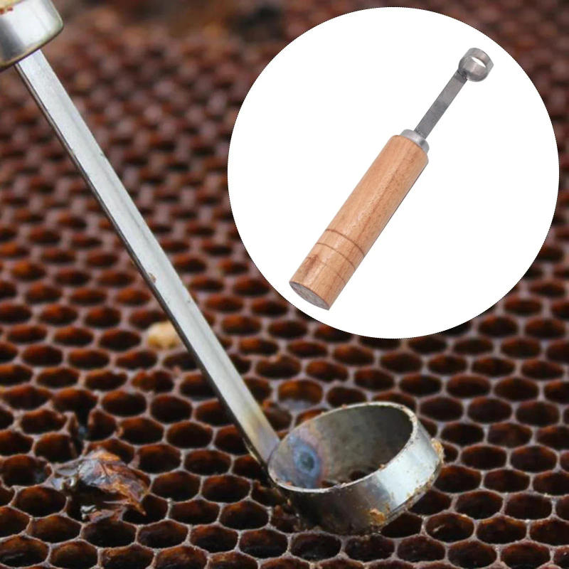 Description Picture 5 of itemBeekeeping BeeHive Tools Beehive Cleaning Scraper Functional Honey Remover Beekeepers Supplies Beekeeper Garden Equipment