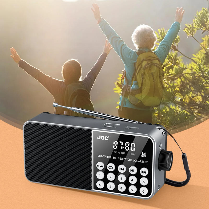 Description Picture 6 of itemMini Portable Radio Bluetooth Wireless Speaker Support TF Card Digital FM Radio LED Digital Display Stereo MP3 Player for Senior