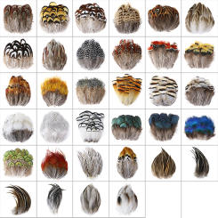 Wholesale Real Pheasant Peacock Feather 3-10cm Small Chicken Plumas DIY Craft Accessories Jewelry Creation Holiday Pendant Decor
