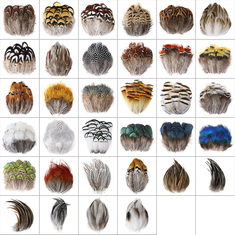 Description Picture 3 of itemWholesale Real Pheasant Peacock Feather 3-10cm Small Chicken Plumas DIY Craft Accessories Jewelry Creation Holiday Pendant Decor