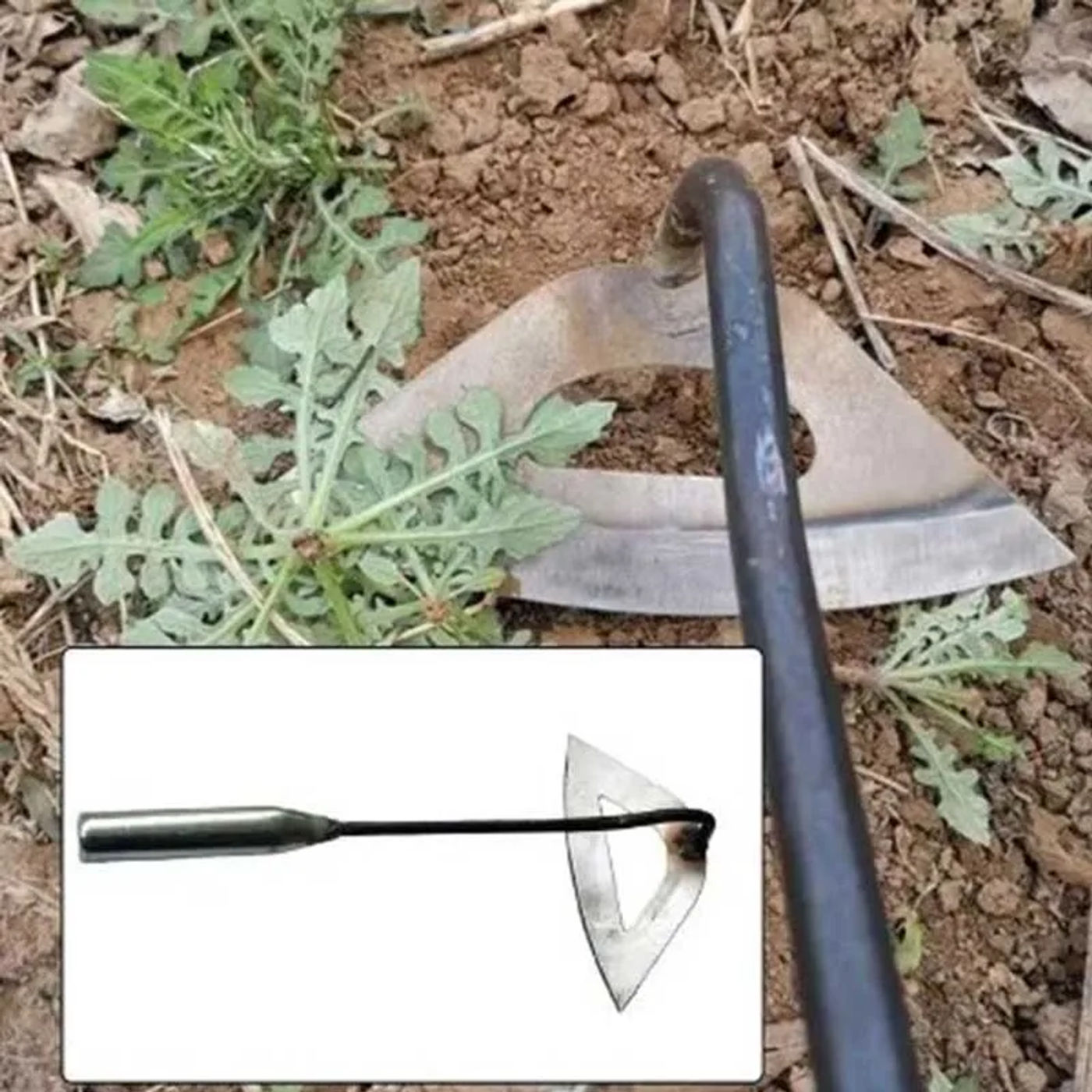 head_title lazy