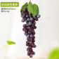 85Heads Grape Purple