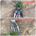 Slide image 5557ad7acbb34ee99040549b73498d23