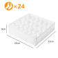 White-24 grids