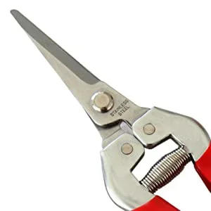 Description Picture 5 of itemGardening Hand Pruner Garden Scissors Pruning Shears Micro-Tip Pruning Snips Leaf Trimmer Straight Florist Scissor For Plants