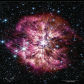ZZ0179-17