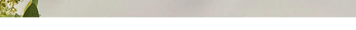 Description Picture 6 of itemSafety Toilet Handrail Support Elderly Gadgets Shower Handrail Disability Bathroom Pasamanos Old People Helping Accessories