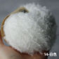14 white