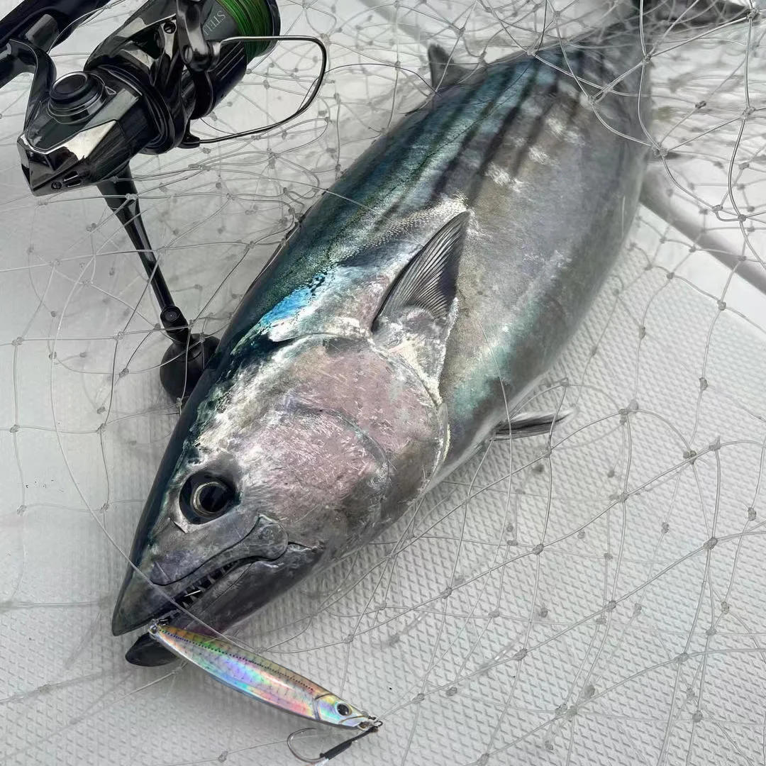 Description Picture 4 of itemMetal Jig Fishing Lure 30g 40g 60g Shore Cast Spoon Pike Hook Trout Swimbait Pesca Sinking Wobbler Spin Tackle Artificial Bait