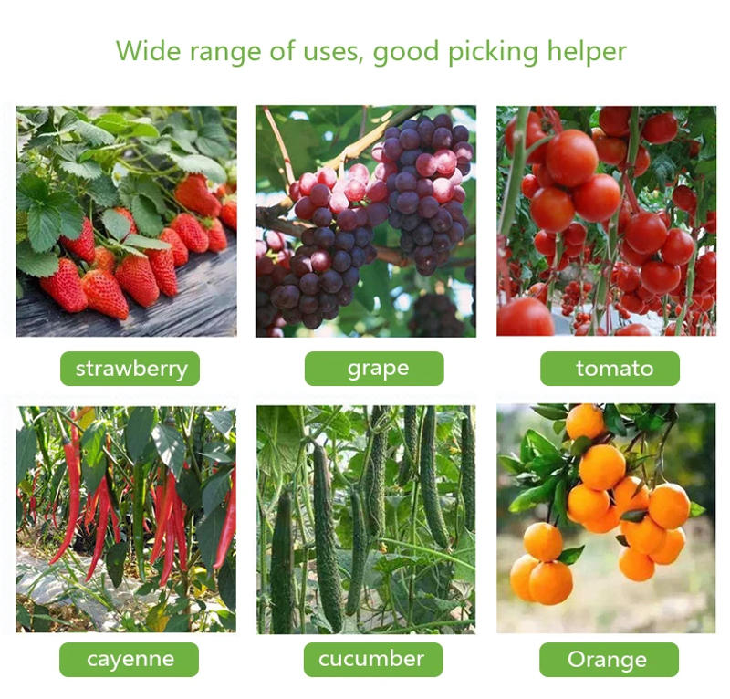 Description Picture 3 of itemMultifunction Thumb Knife Garden Pruner Fruit Picking Device Safe Fruit Blade Tool Cutting Blade Rings Finger Protector Catcher