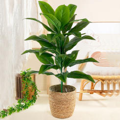 68cm-85cm Large Artificial Plants Fake Tropical Plants Branch Real Touch Tree Leaves Plastic Plants for Home Garden Decoration