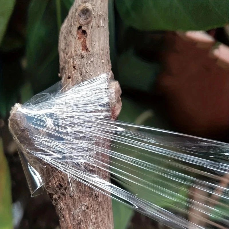 Description Picture 5 of itemSelf-adhesive PE Grafting Tape Film Stretchable Garden Tree Plants Seedlings Vine Tomato Grafting Accessories