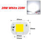 20W White 220V