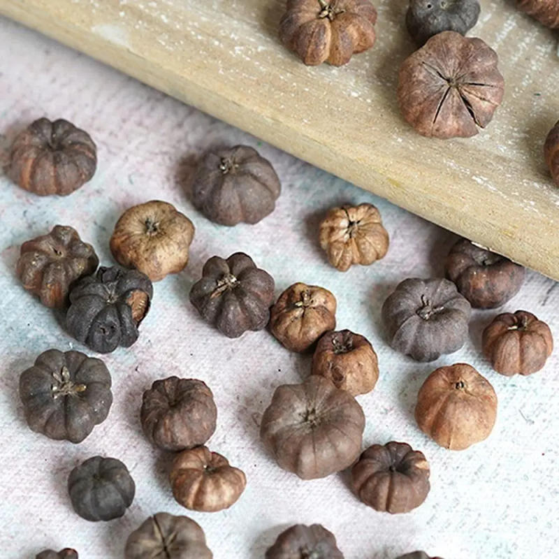 Description Picture 2 of item15Pcs Mini Natural Halloween Pumpkins Decoration Ornaments DIY Material Craft Pumpkin Ornament for Festival Party Home Decor