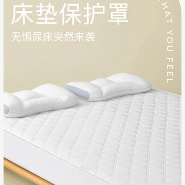 White Minimalist Mattress Elastic Indoor Nook Tatami Sleep Floor Hotel Mattress Cover Luxury Lounge Colchao Latex Beds Furniture