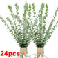 24PCS-Light Green(A)