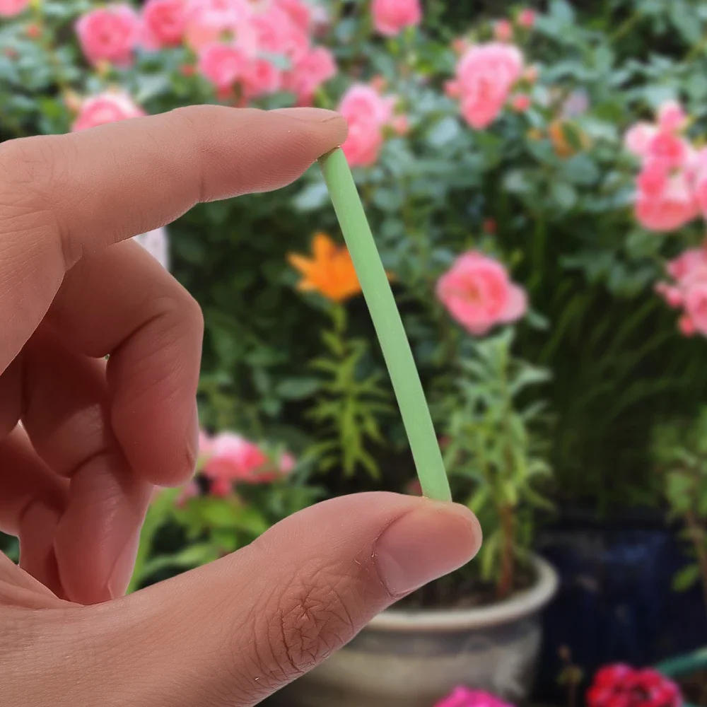 Description Picture 5 of item18Pcs Plants Nutrition Stick Universal Indoor Potted Flower Growth Enhancer Bar Plant Food Home Garden Houseplants Accessories