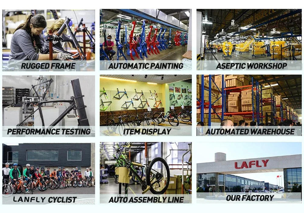 Description Picture 3 of itemLAFLY X3 1000W National Standard Electric Bicycle Folding 48V Iithium Assisted Mountain Electric Bike Cross-Country 26inch Ebike