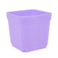 Purple 5.5cm