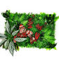 picture color23