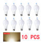 warm light-(220V)