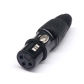3PIN black female