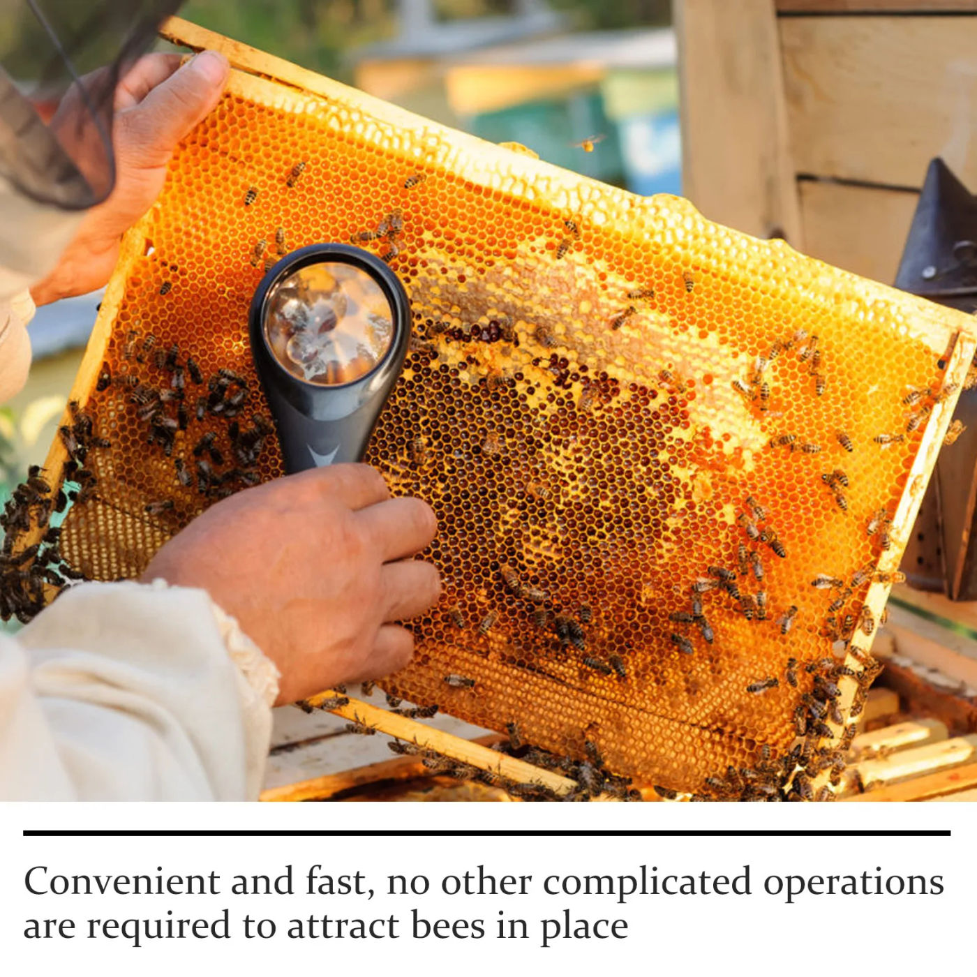 Slide 672c39e5c1294d85ab5c53d92b7d2484