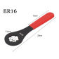 ER16