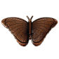 Red bronze