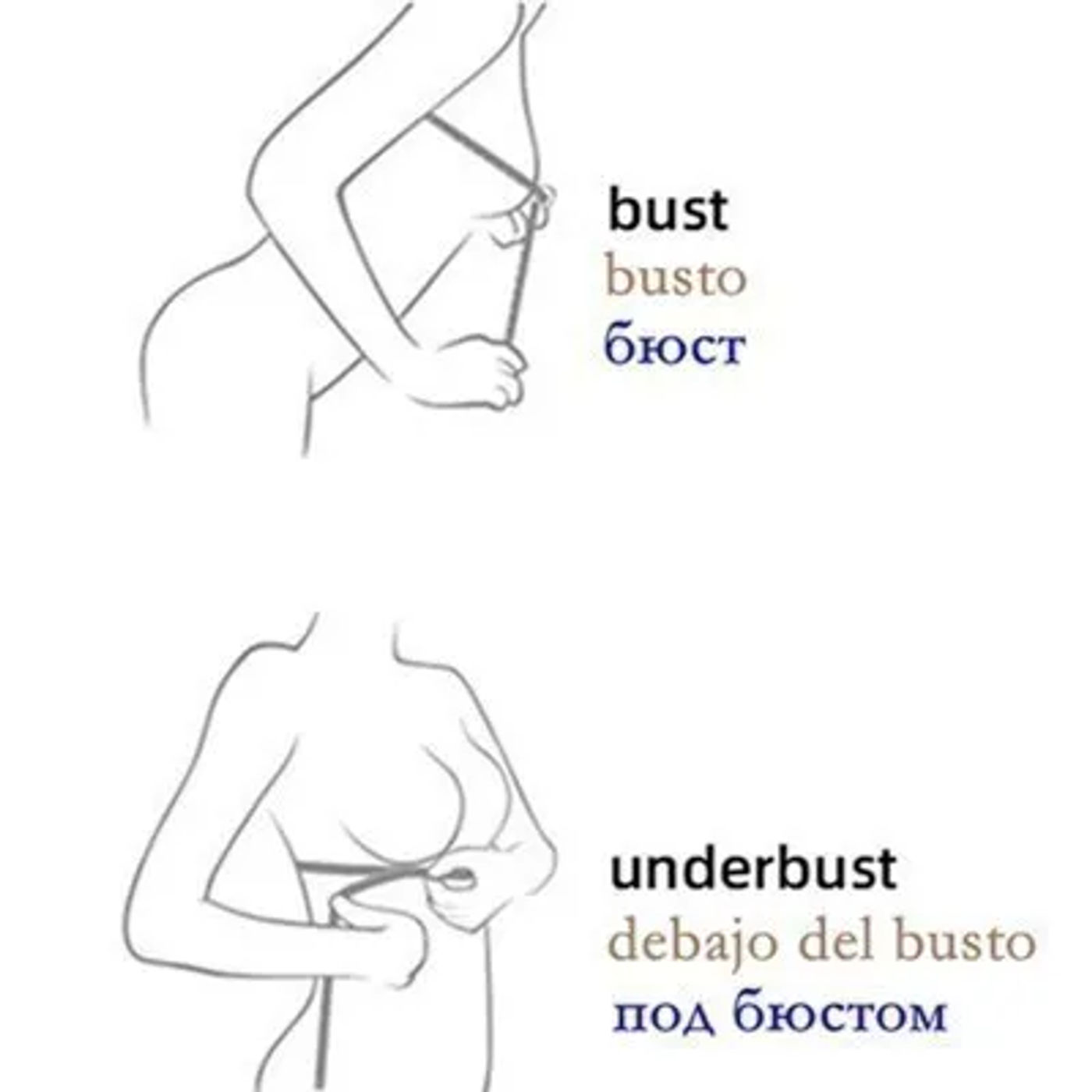 Description Picture 3 of itemBeauwear B C Cup French Style Light Weight Women Lace Bra Breathable Back Closure Adjustable Strap Soft Deep V Thin Lingerie Top
