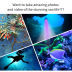 Slide image 03738936d2c3499e904d4c38a89b6ea6