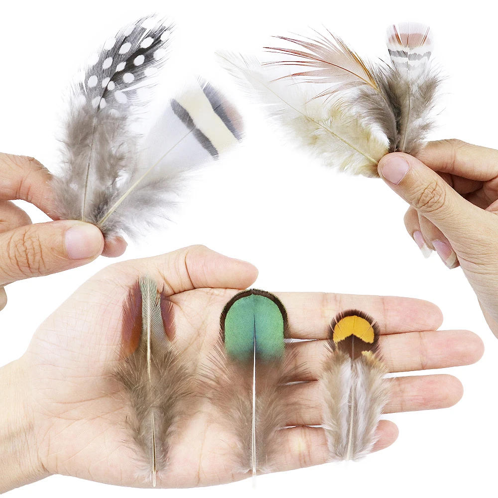 Description Picture 5 of item24/50 Pieces 5-15CM Multi-Style Natural Peacock Pheasant Feather Crafts Jewelry Making Accessories Decorative Feather Wholesale