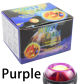 Purple-gift box