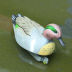 Slide image aaa78f7e56c840da95f7963f9aa5eaf5