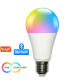 Smart LED Light Bulb