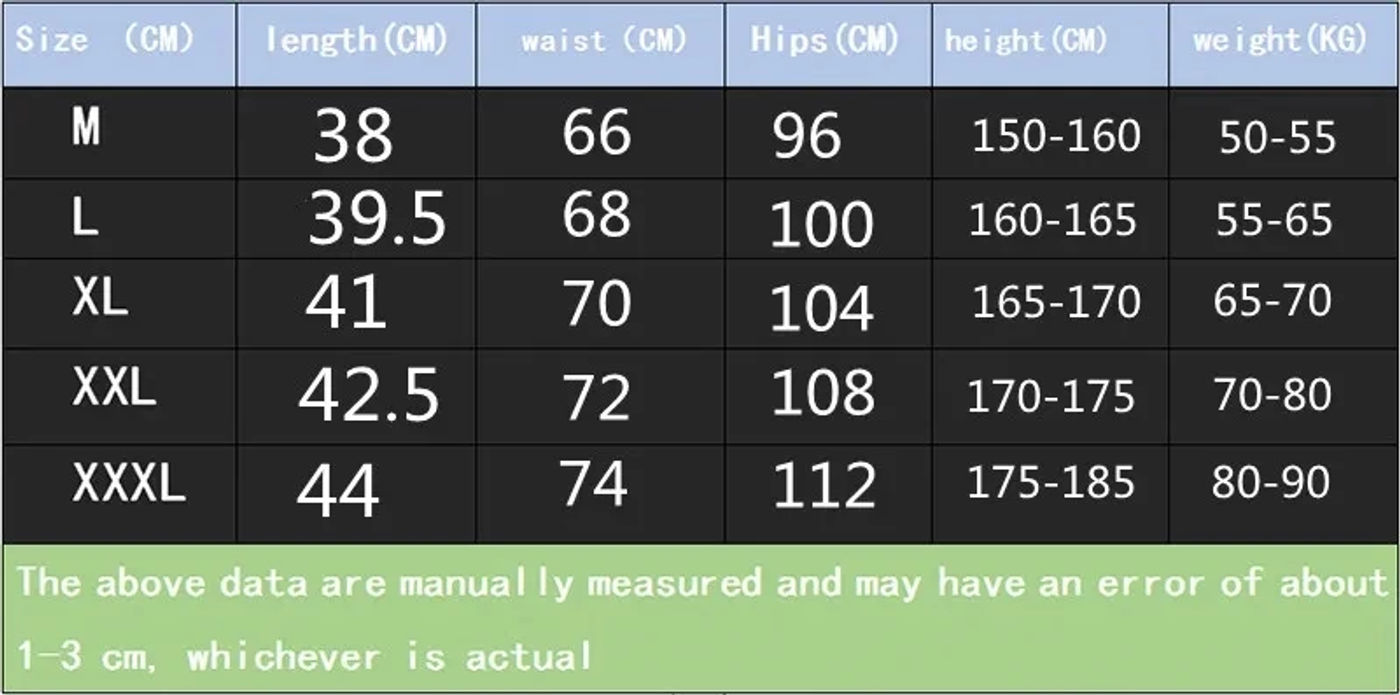 Description Picture 2 of itemEric Emanuel EE Basic Shorts Men NEW YORK CITY SKYLINE 2024 casual shorts fitness sports pants summer gym workout mesh shorts
