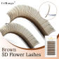 Brown flora lashes