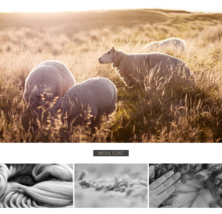 Description Picture 4 of item2023High-end men's reversible spring and autumn new fashion handsome all fashion business casual 100% wool suit jacket  Regular