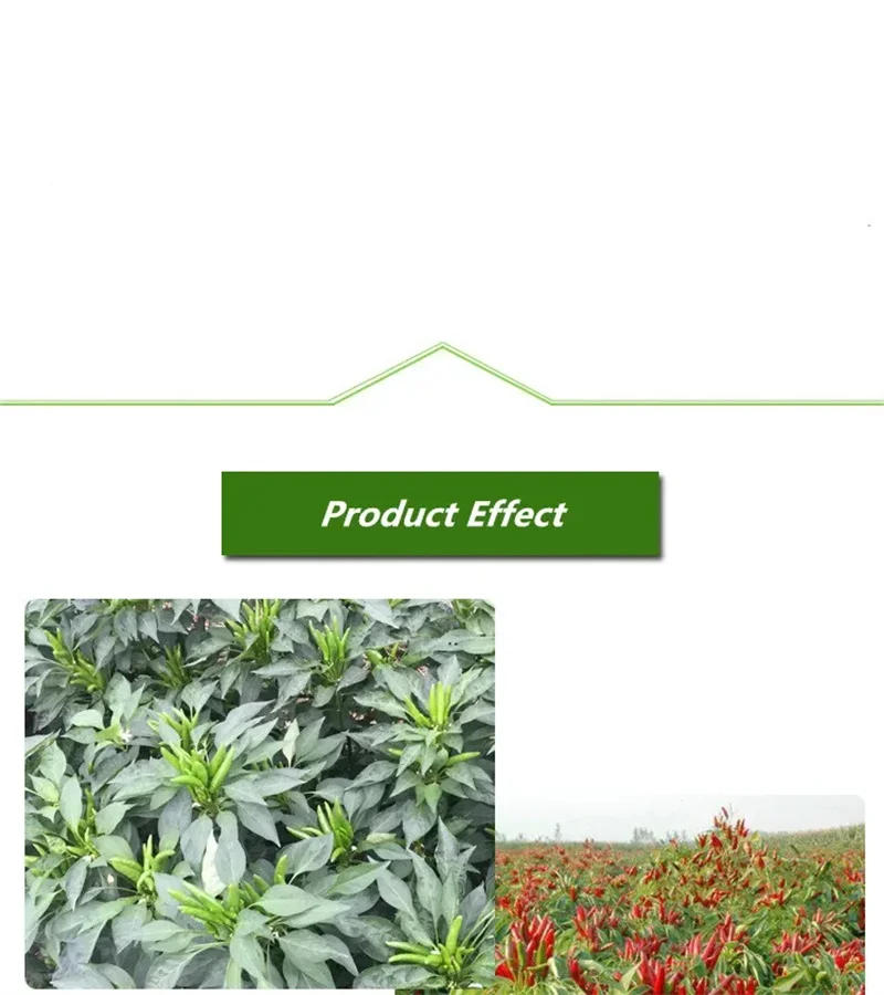 Description Picture 4 of item30g Special fertilizer for peppers, preserve flowers and fruits, and color puffed fruits Middle element water-soluble fertilizer
