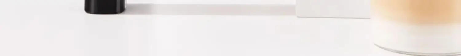 Description Picture 4 of item12V/110V/220V HERO Double Electric Milk Frother Handheld Coffee Milk Foam Maker Egg Beater