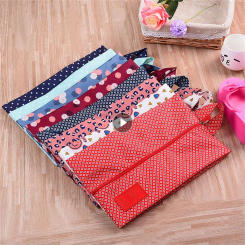 Storage Organizer Women Travel Oxford Cloth 35cm 21cm Storage Tools Shoe Storage Bag Waterproof Zipper Cosmetic Bags Foldable
