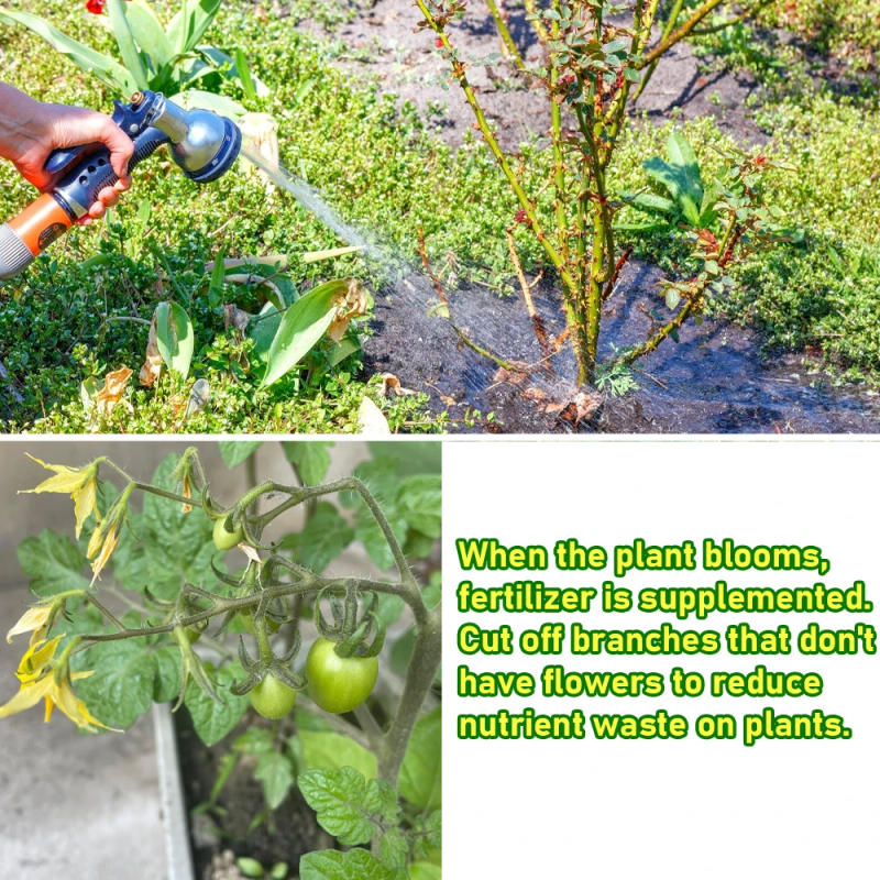 Description Picture 5 of item20g Chelated Calcium Medium Element Fertilizer Compound Water-soluble Fertilizer For Garden bonsai