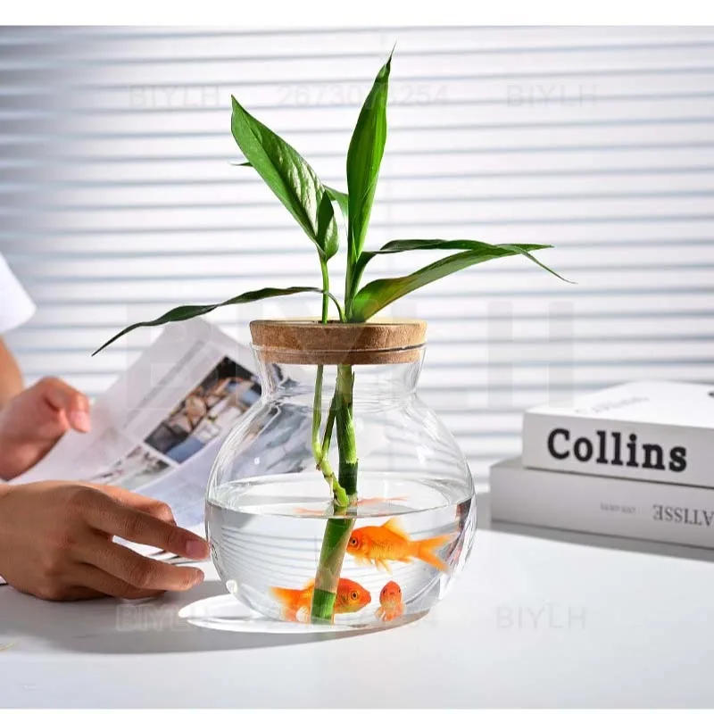 Description Picture 4 of itemTransparent Hydroponic Plants Glass Vase Propagation Station Vase Rack Office Home Decoration Micro-landscape Ecological Bottle