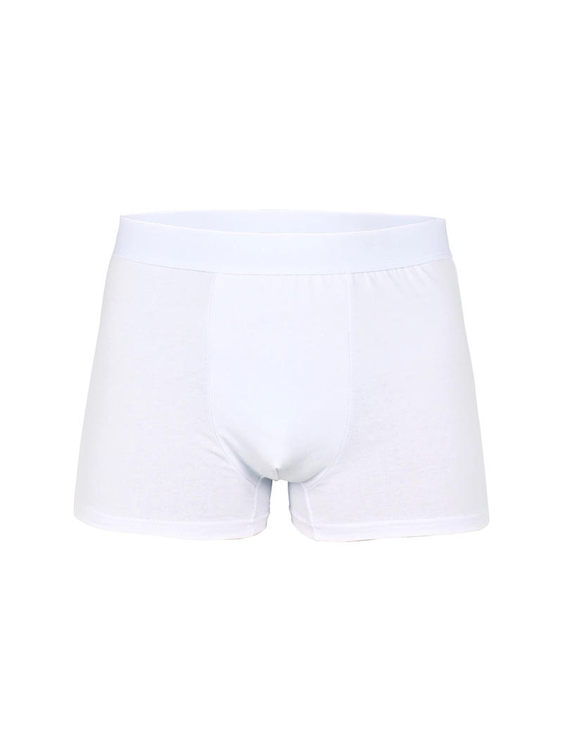 Description Picture 3 of item5pcs Pack White 2024 Men Panties Polyester Underwear Male Brand Boxer And Underpants For Homme Luxury Set Shorts Box Slip Kit